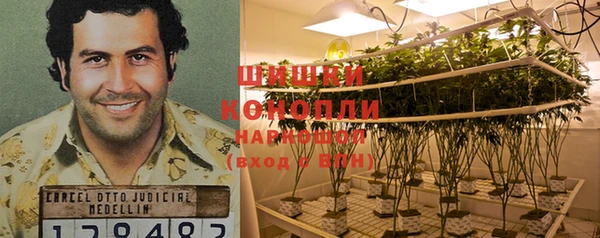 амф Бронницы