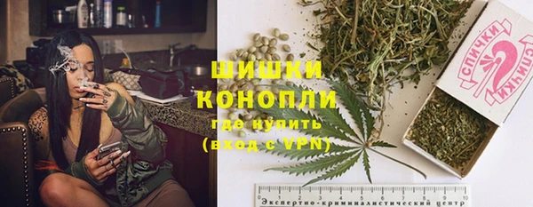 амф Бронницы